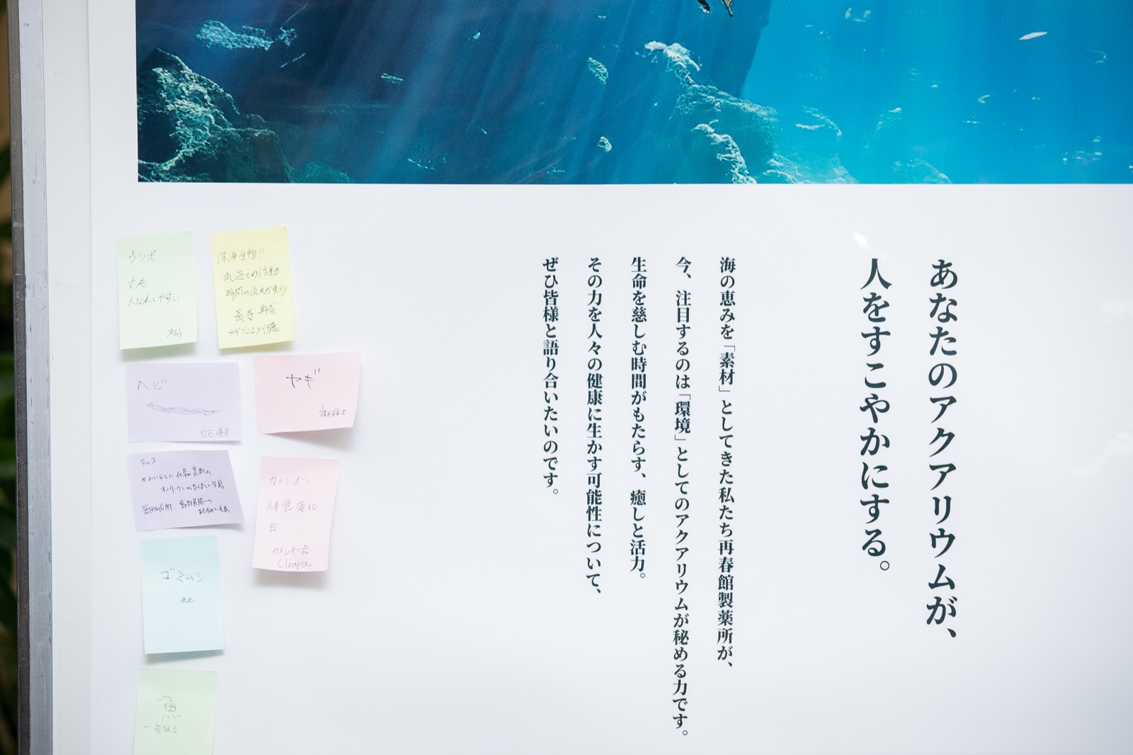 来場者からのコメントが貼られた展示パネル